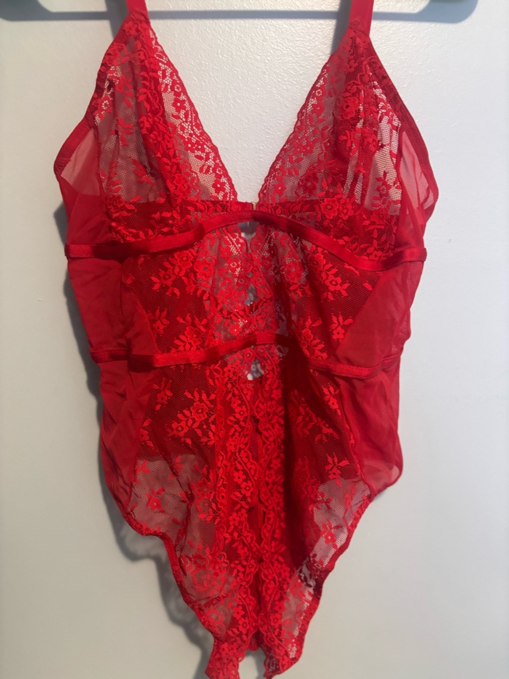 Adore Me Red Lace Plunge Teddy